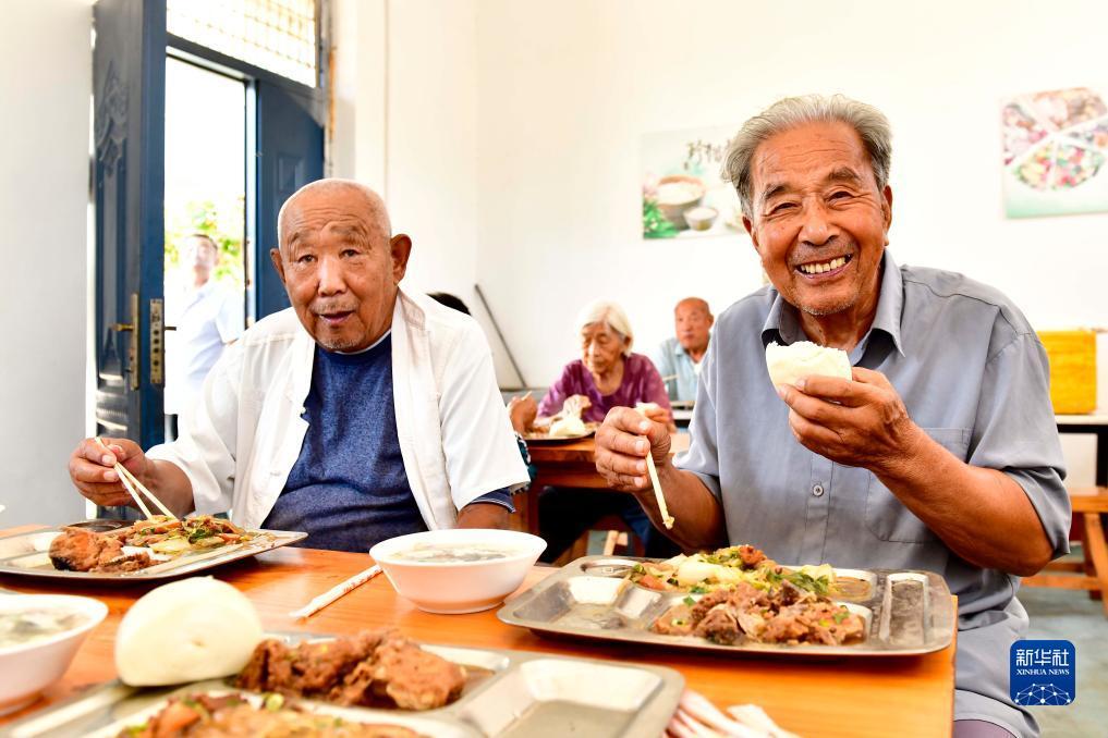 金鲨鱼银鲨鱼